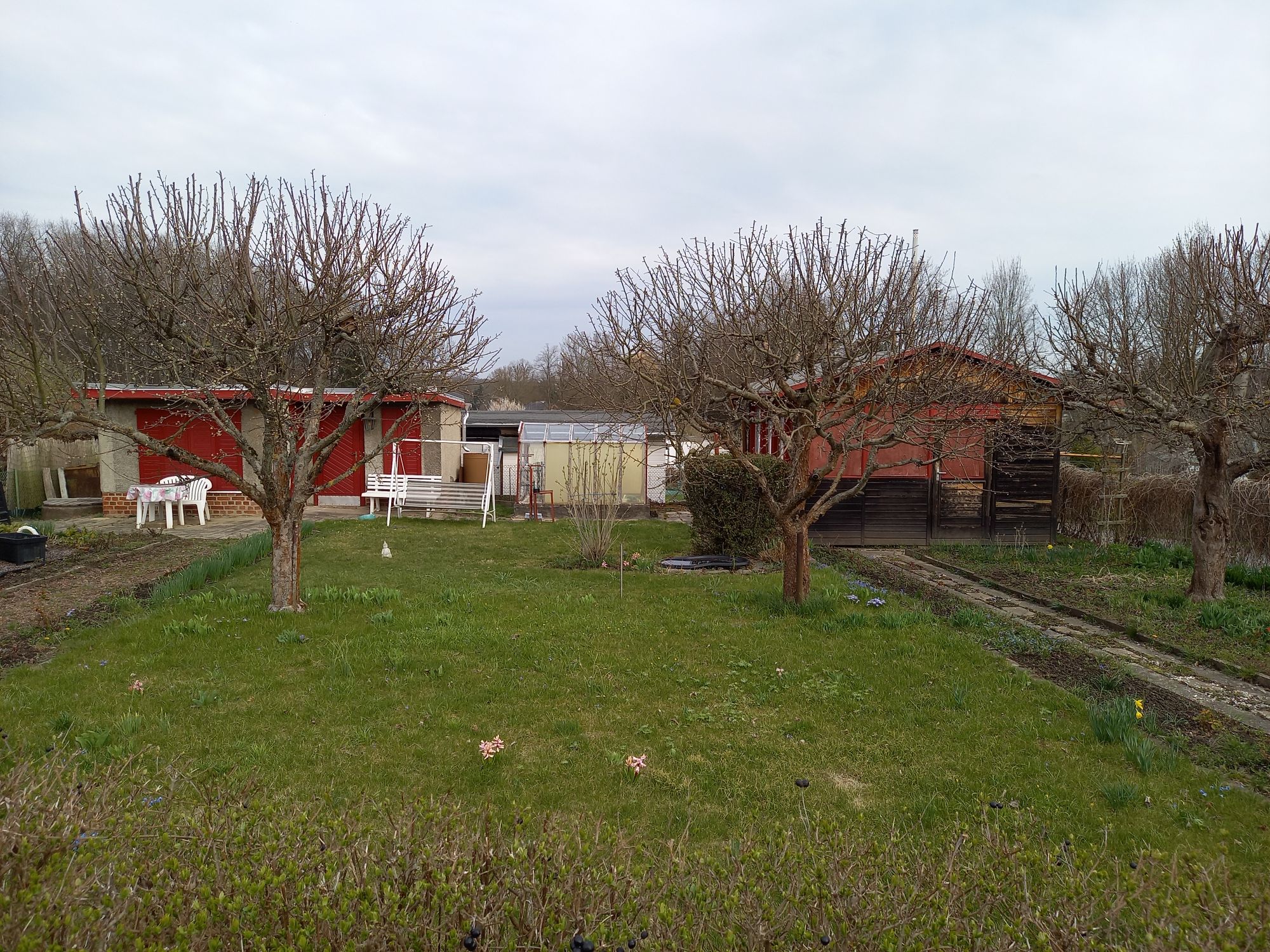20250409_Garten46_Janich Garten 88