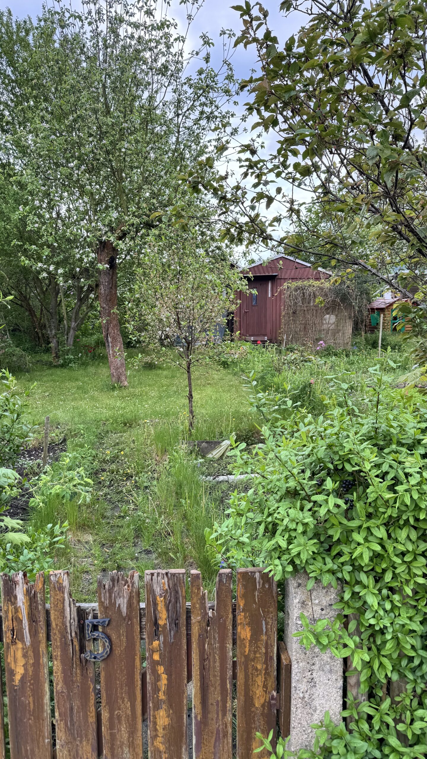 Garten 5 Garten 5