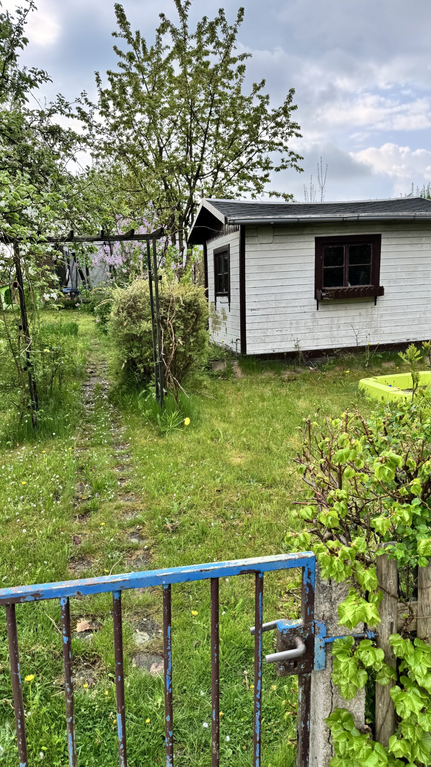 Garten 6 Garten 6