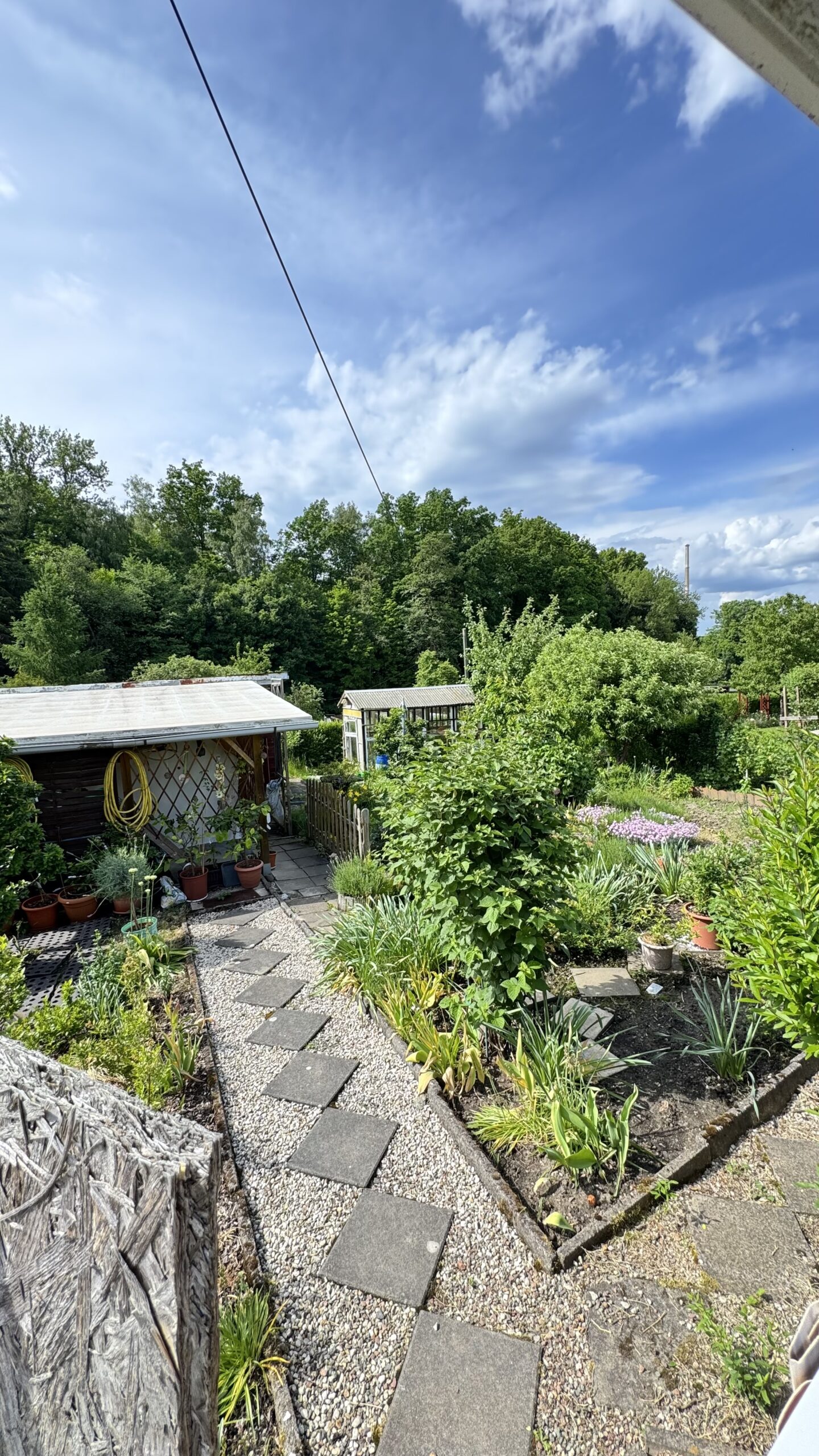 Garten 25