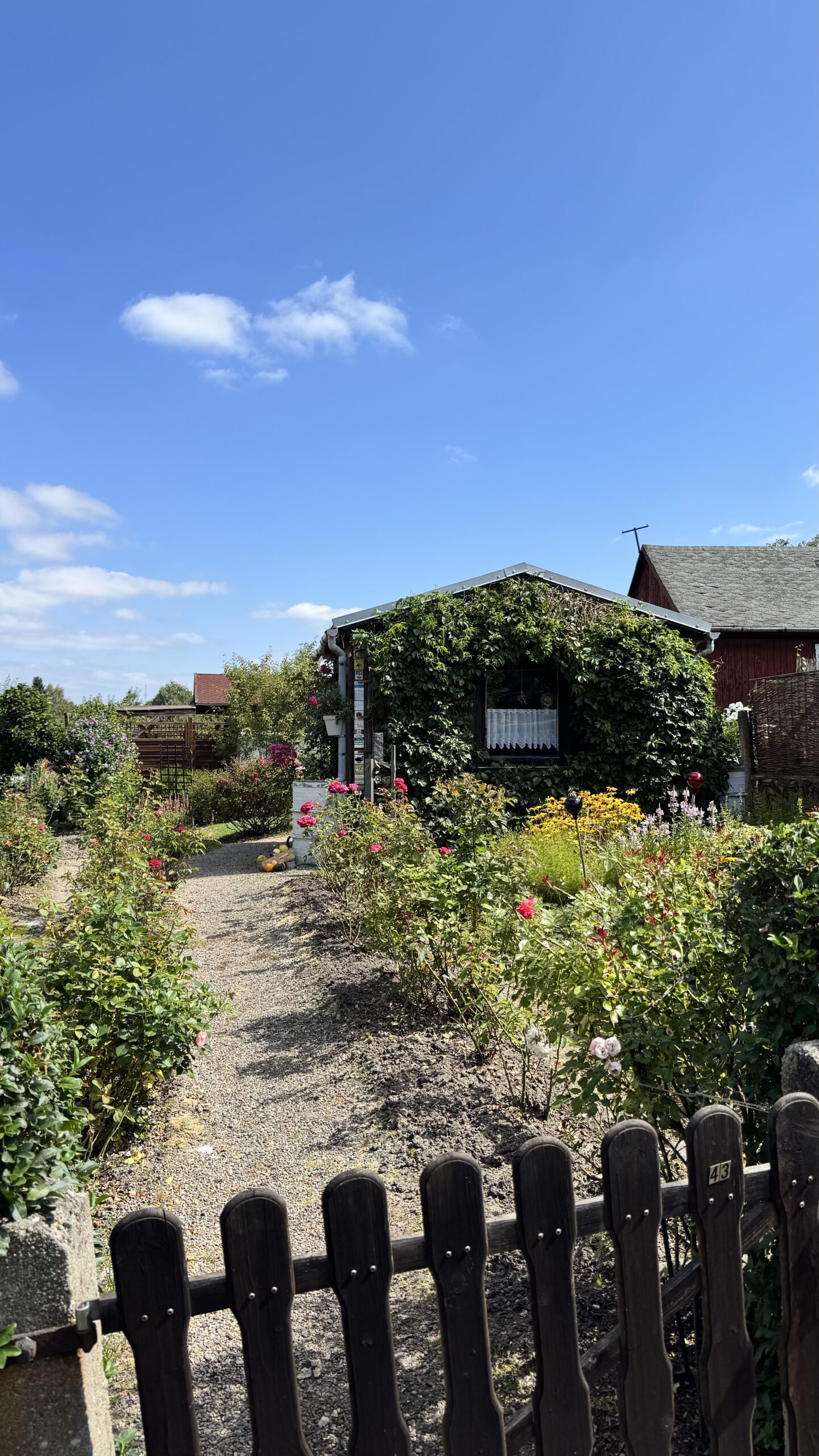 Garten 43 Nachpächter gesucht