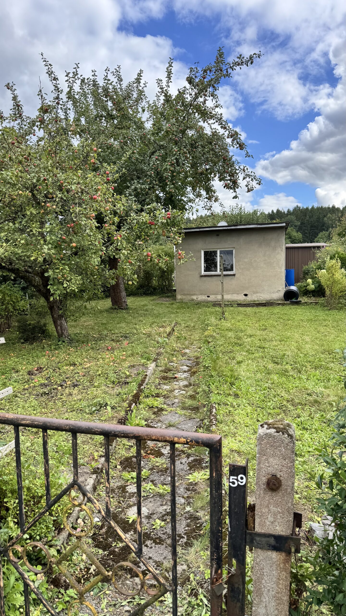 Garten 59