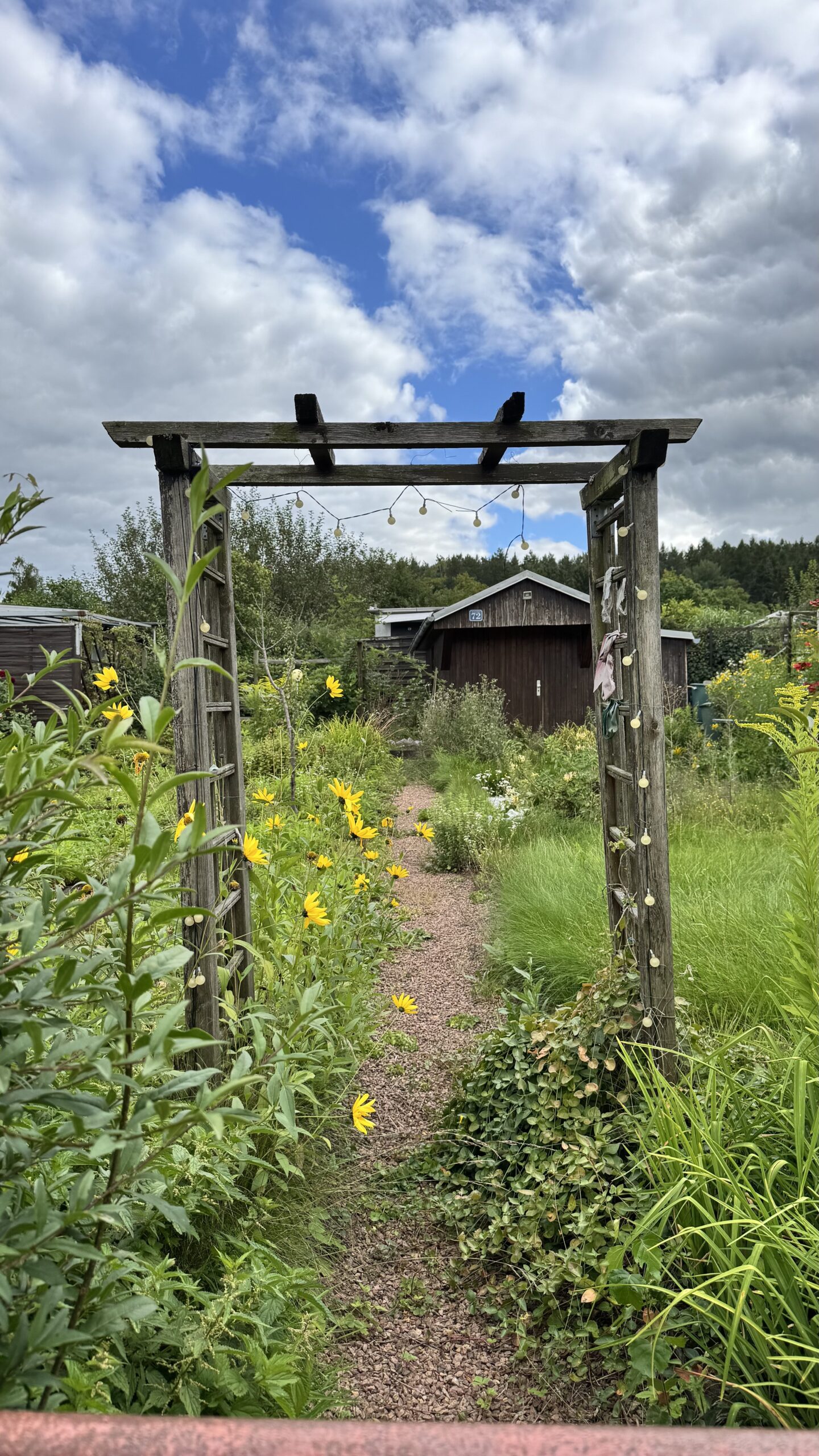 Garten 72