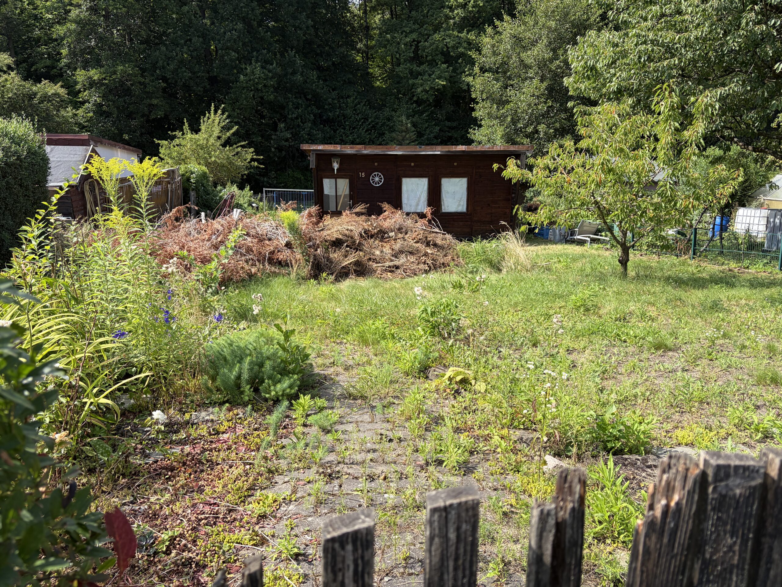 Garten 15